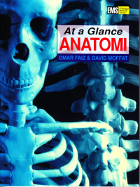At a Glance Anatomi