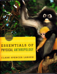 Essentials Of Physical Anthropology (2e)